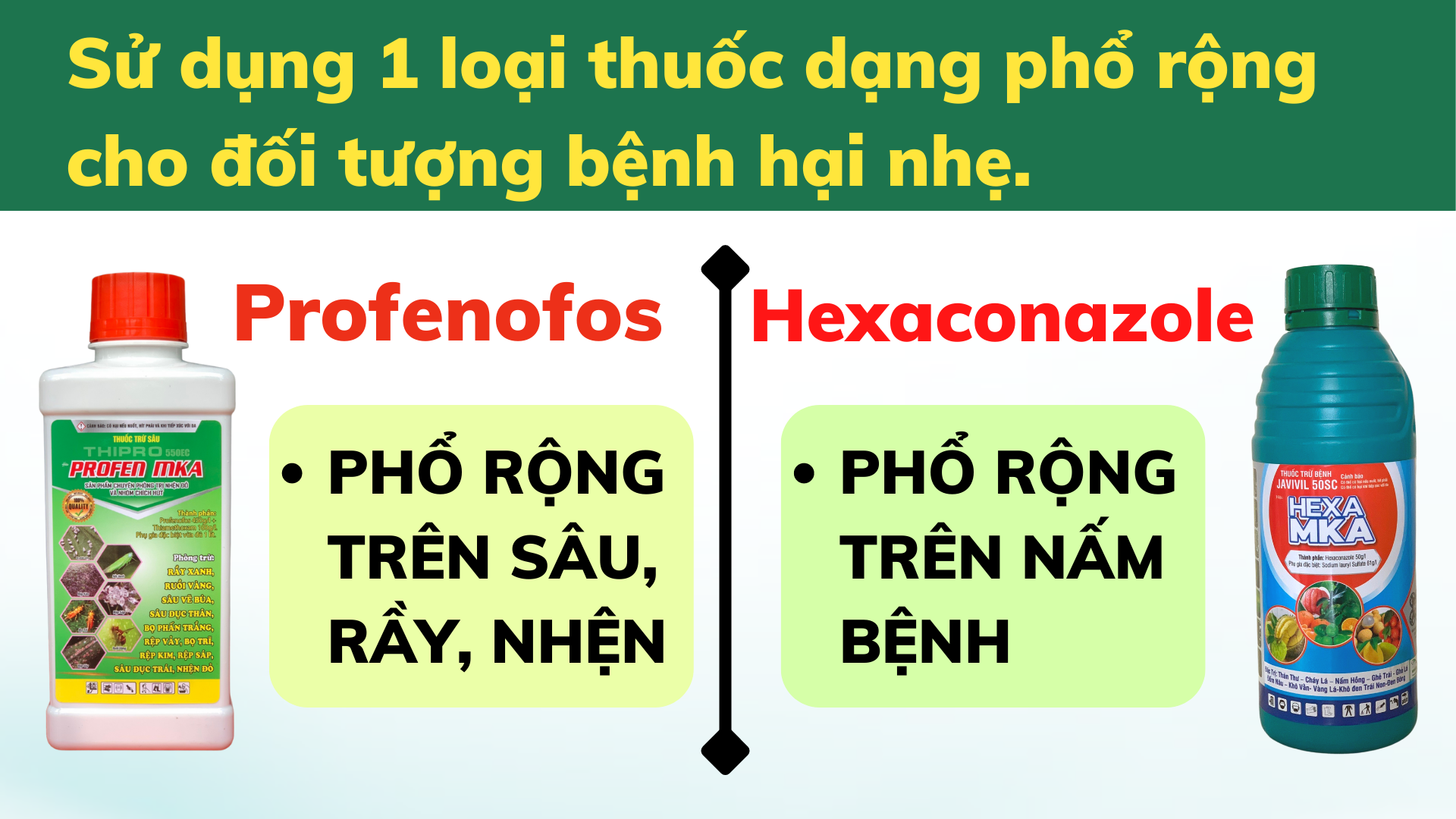 nguyên tắc phối thuốc